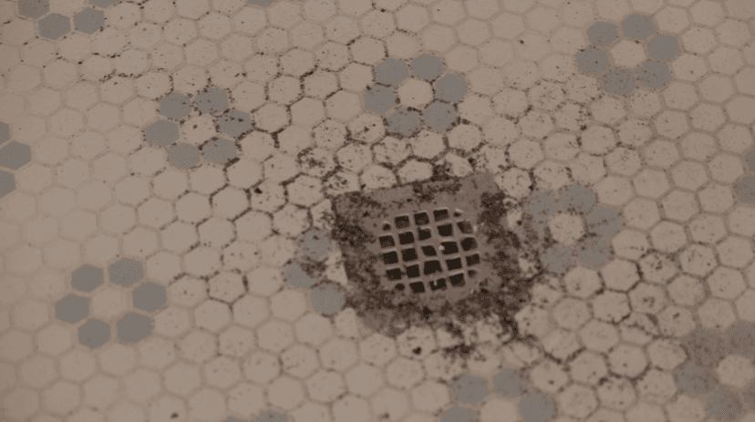 Sustainable Plumbing Practices in Northbrook: The Environmental Impact of Well-Maintained Drain Basins